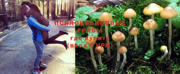 мет Новозыбков