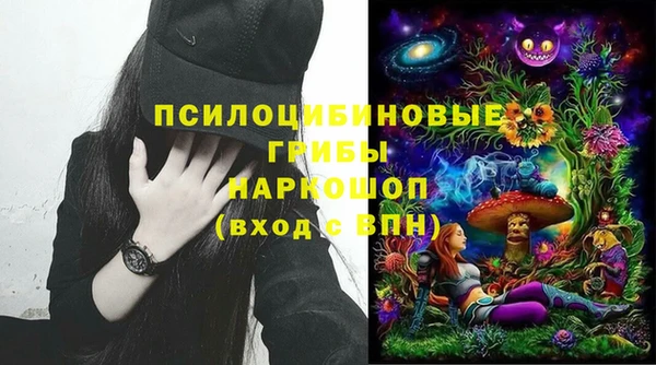 прущие грибы Новокубанск