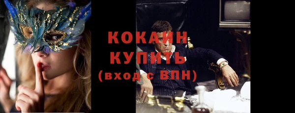 твердый Няндома