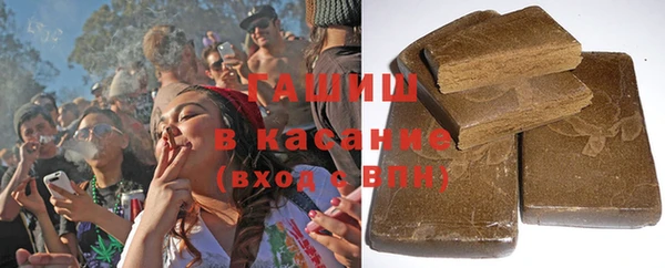 прущие грибы Новокубанск
