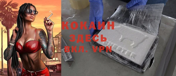 прущие грибы Новокубанск
