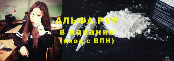 прущие грибы Новокубанск